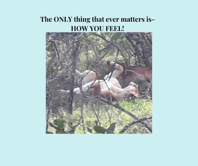 How you feel, What is self-awareness?,You Got This, FreeFloLiving, Linda Ledwidge, Mallorca, Majorca, 