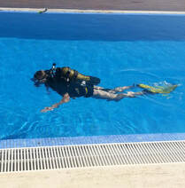 Linda Ledwidge, diving, pool, Mallorca, Majorca